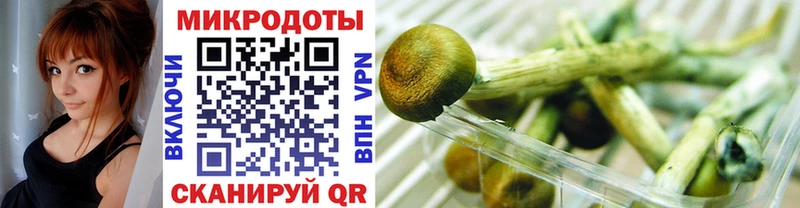 Галлюциногенные грибы мицелий  Касимов 
