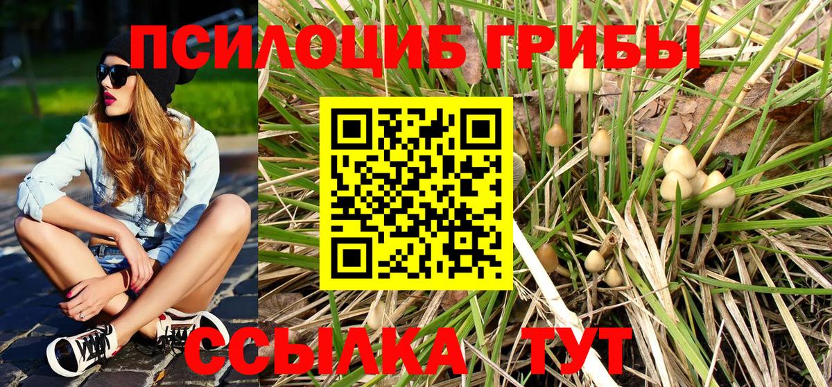 Галлюциногенные грибы Magic Shrooms  Вход с VPN  Касимов 