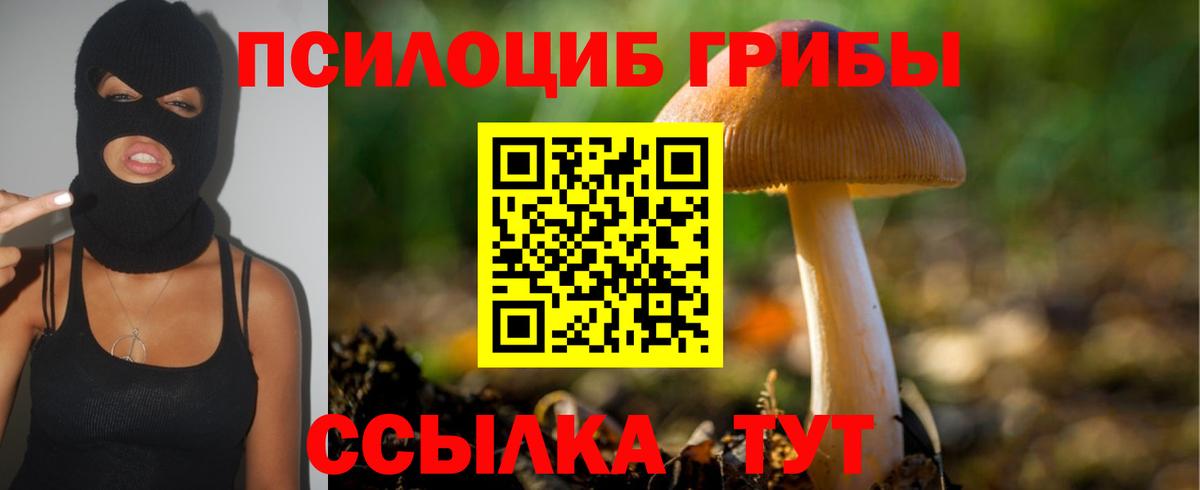 Псилоцибиновые грибы GOLDEN TEACHER Касимов