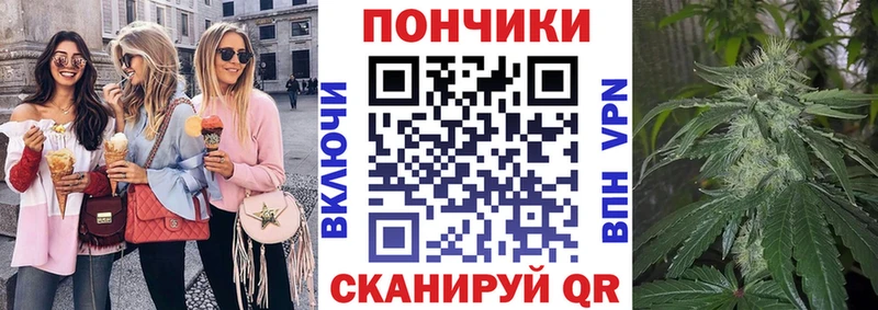 где купить наркоту  Касимов  гидра ссылки  Марихуана сатива 